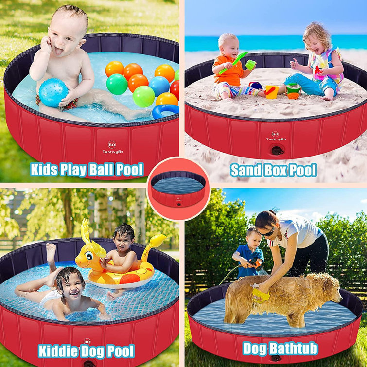 kiddie pool for puppies